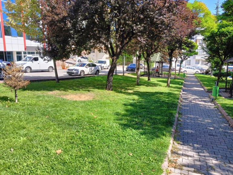 Akran zorbalığı 15 yaşında hayattan kopardı