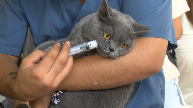 Küçükçekmecede 5 katlı binada yangın 1 kişi hayatını kaybetti