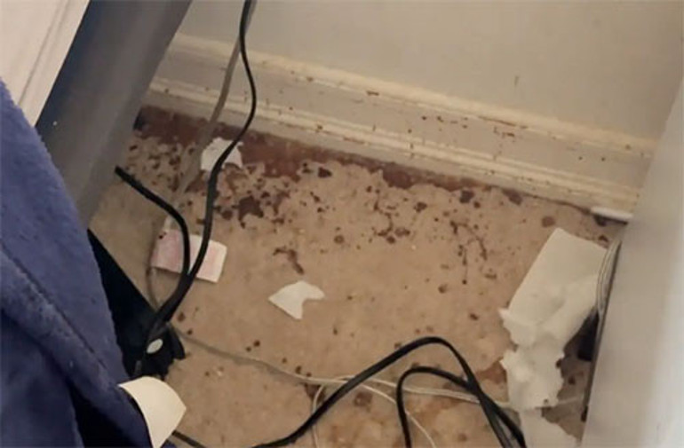 Ünlü çiftin milyonluk evinin haline bakın Elbiseler güve yuvası, yerler pislik içinde... Bir de karısından nafaka istiyor