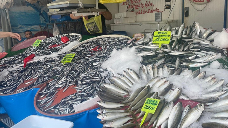 Balıkçı tekneleri ve ağlar