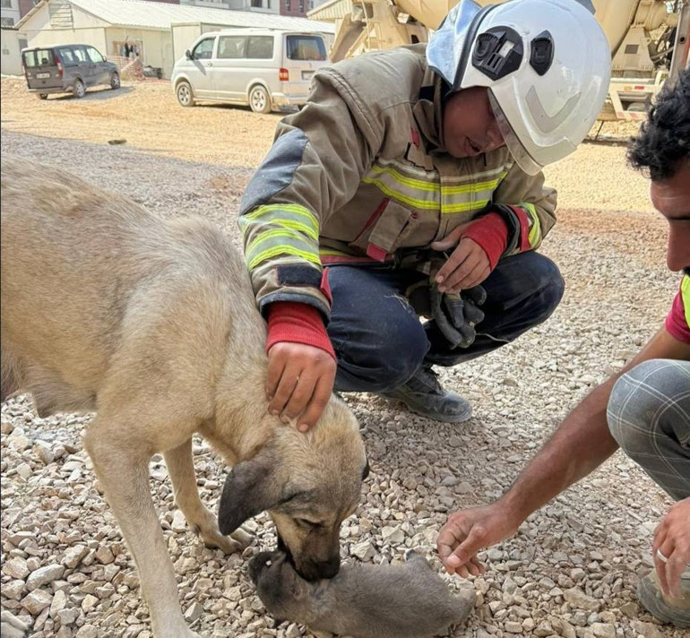 Antakya’da yürekleri ısıtan anlar: Bir an olsun başından ayrılmadı
