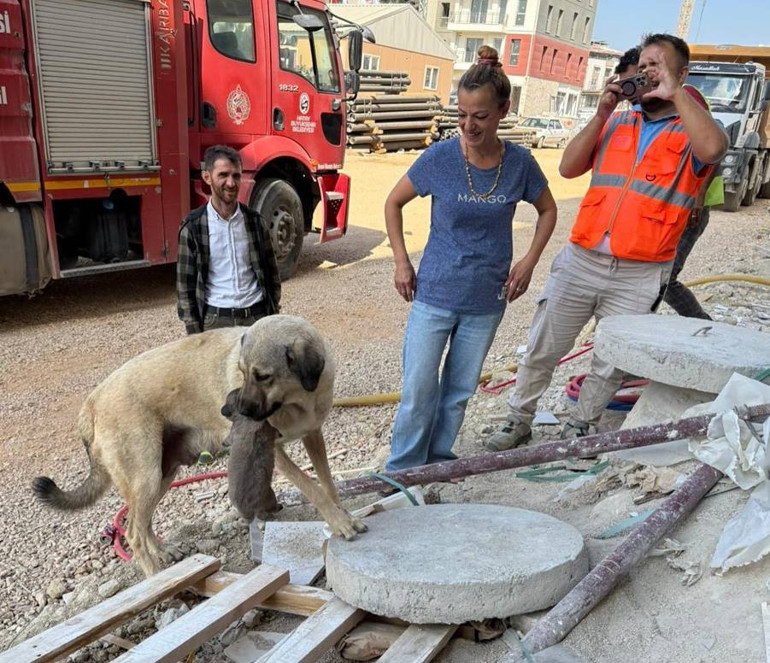 Antakya’da yürekleri ısıtan anlar: Bir an olsun başından ayrılmadı