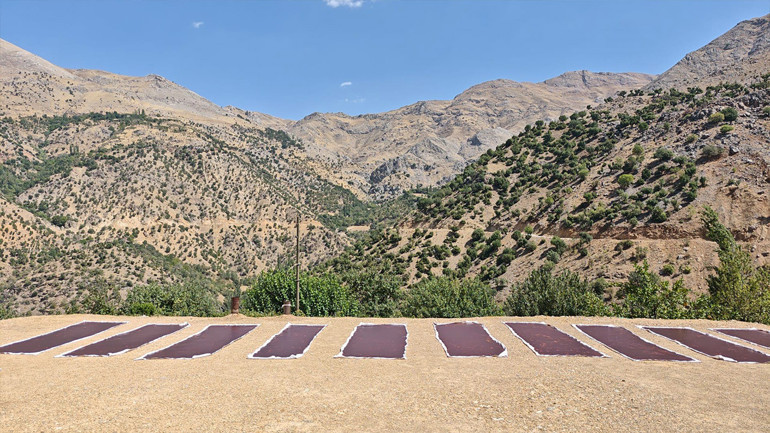 Batmanın zirvesinden sofralara cevizli sucuk