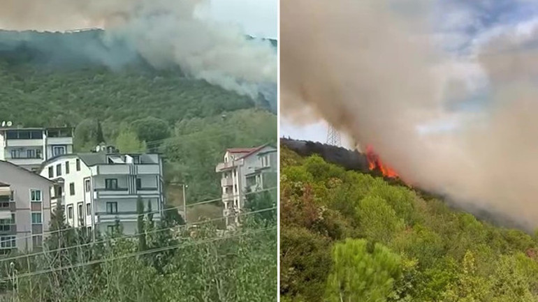 Kocaeli’de orman yangını Alevlerle mücadele başladı