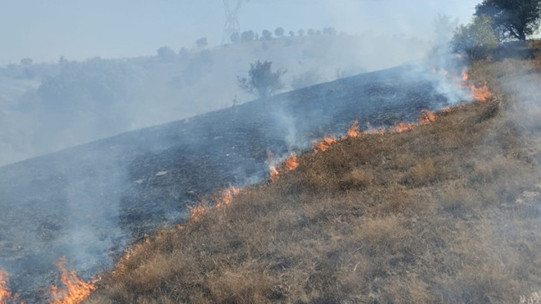 Kocaeli’de orman yangını Alevlerle mücadele başladı
