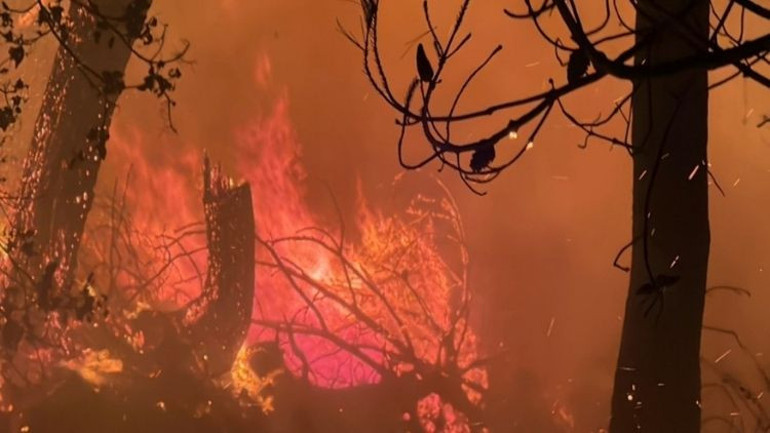 Antalya ve Muğlada orman yangını... Müdahale sürüyor, yerleşim yerleri tahliye edildi