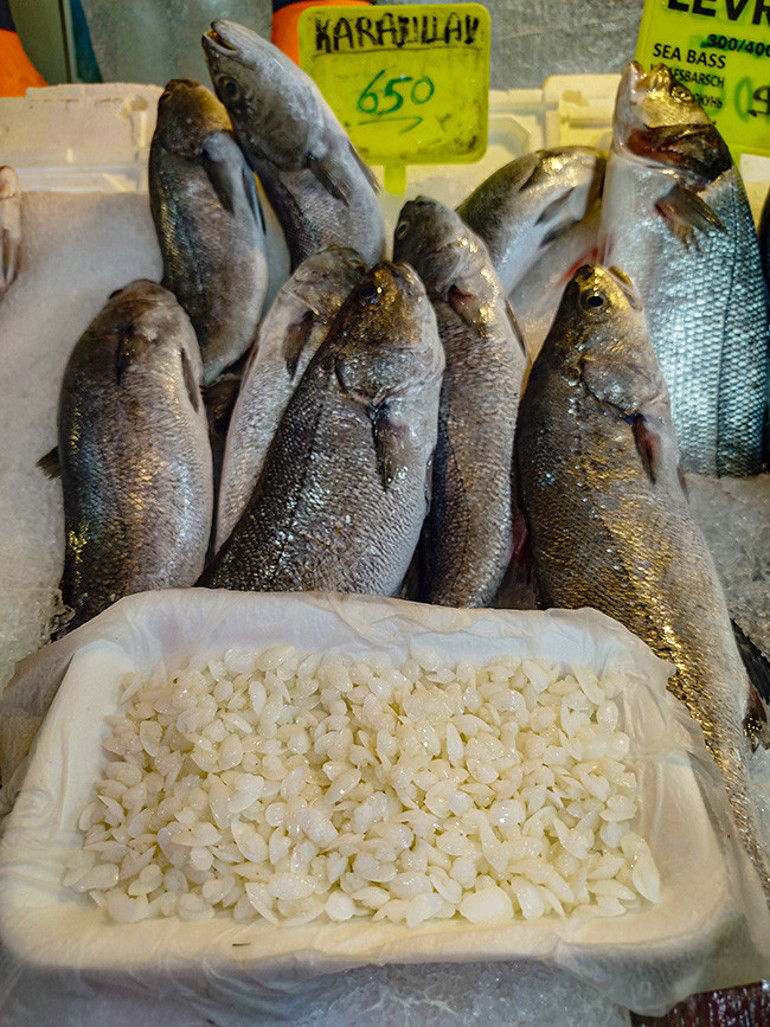 Bu balıklar başındaki taştan dolayı satılıyor Kilosu 10 bin lira | İspatlanmış faydası yok ama inananlar alıyor