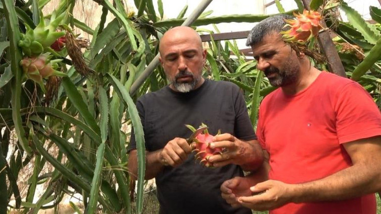 46 derece sıcaklıkta ithalata meydan okuyor Tek işimiz bu