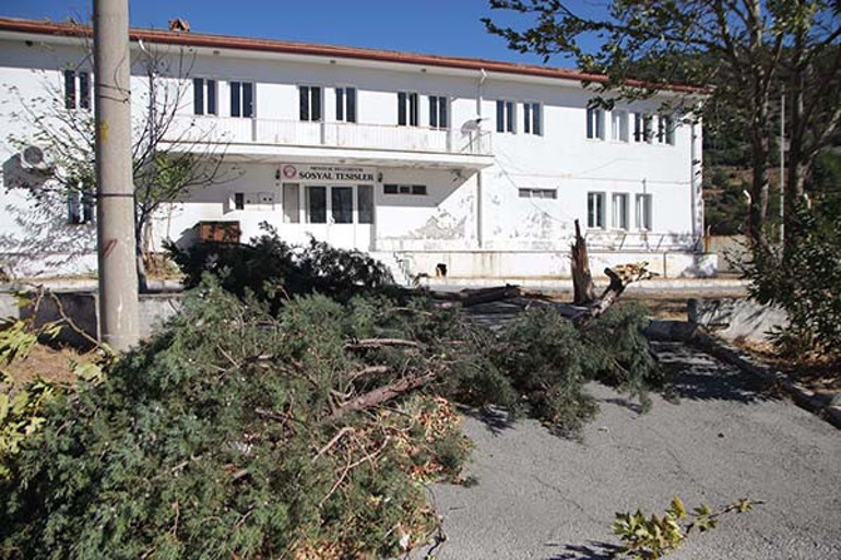 Fırtınadan dolayı devrilen ağaçlar ve hasar