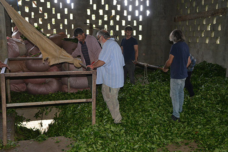 Rizede arazi bulamayınca köylüler harekete geçti Bu enteresan yapı dikkat çekiyor | Rizeli zekası diyorlar