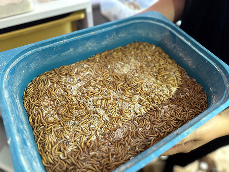 Evinde tesis kurdu üretime başladı Taleplere yetişemiyor: Ölümler yaşanınca doğal ürünlere döndüm