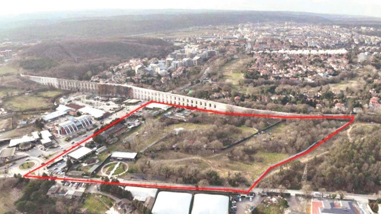 Zeytin yasası da neymiş