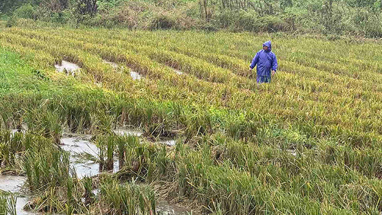 Filipinlerde önce muson yağmurları, ardından tayfunlar etkili oldu: 100 bin kişi etkilendi