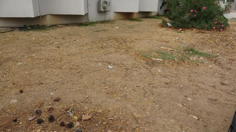 Kazı sırasında kafatası ve çene kemiklerinin çıkarılması planlanıyor