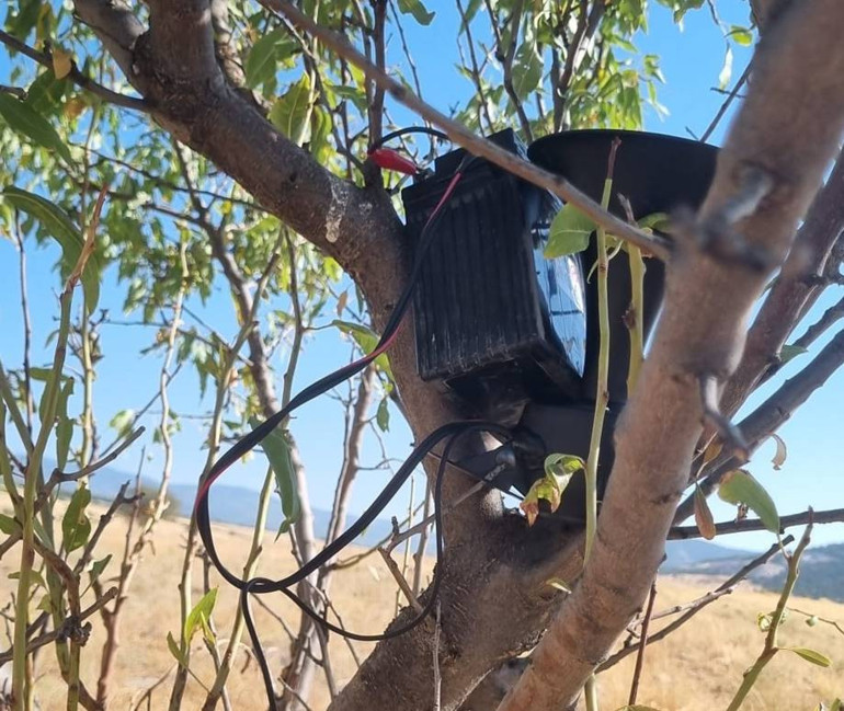  Fotokapanla yakalandılar