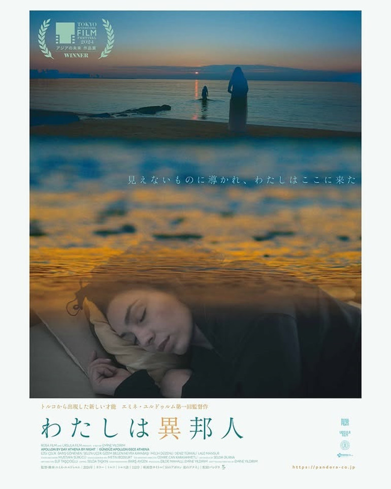 Gündüz Apollon, Gece Athena | Hafızanın bekçisi hayaletler