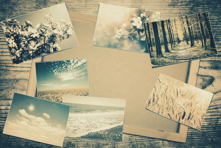 Beynimiz neden bazı anıları saklarken diğerlerini unutuyor Ağaçların arasında koşuşturan sincapları izlerken fark etti