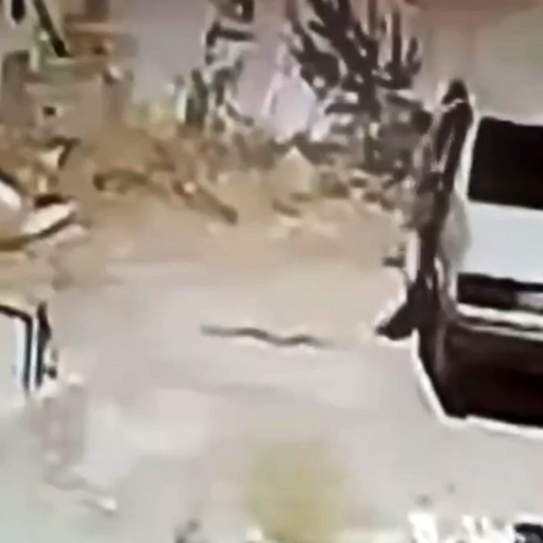 Araç içinde yılan gören sürücü panikle aracı terk etti