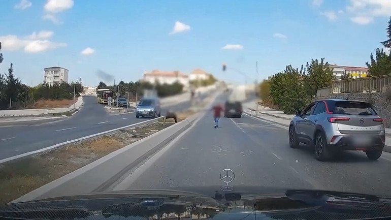 Kavga anından görüntü