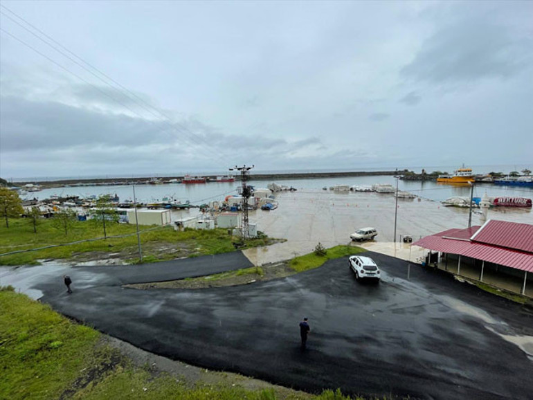 Hamsi için ağ attılar insansız saldırı aracı tuttular Valiliği teyakkuza geçiren av