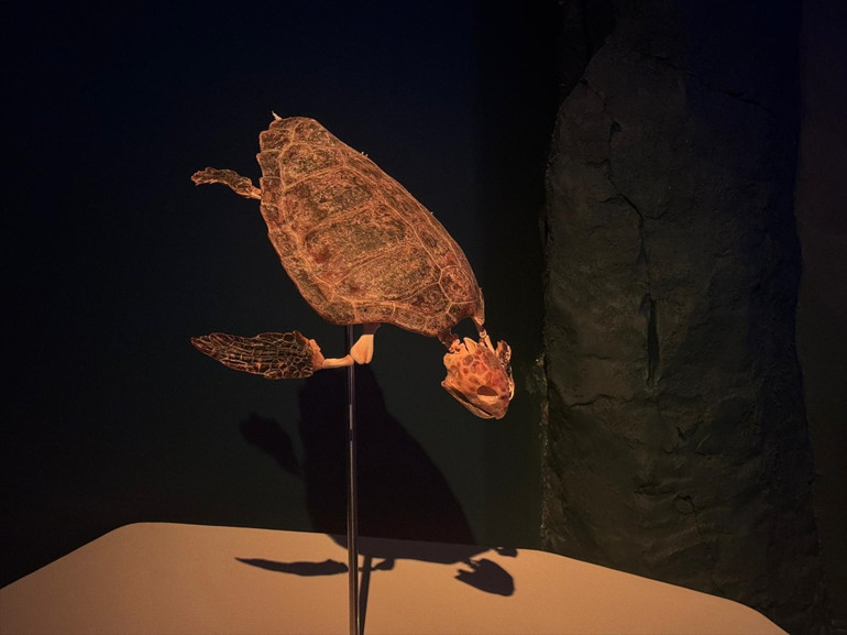 Deniz mercanları için kolları sıvayan TÜDAVdan dikkat çeken sergi: Okyanus Devleri