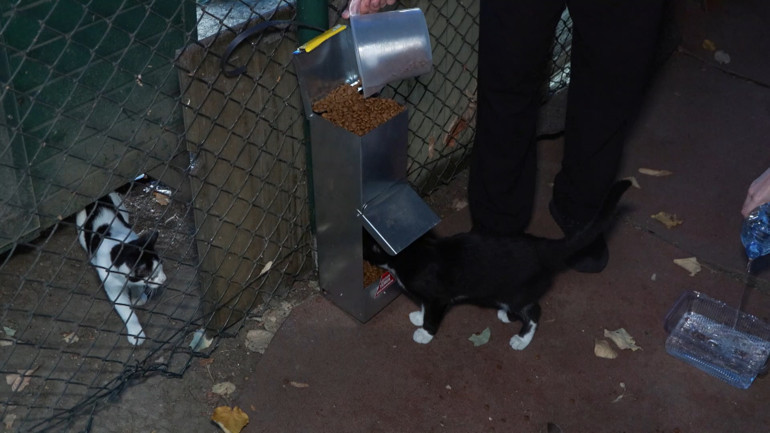 Demirören Medya ve Teknoloji MTAL öğrencilerinden sokak hayvanlarına anlamlı destek