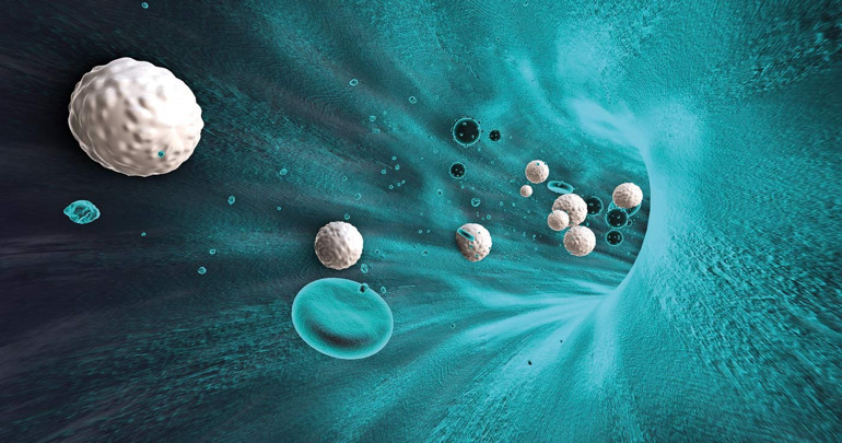 ‘Plastik’ hayatlar.... Hücrelerimize kadar girdi