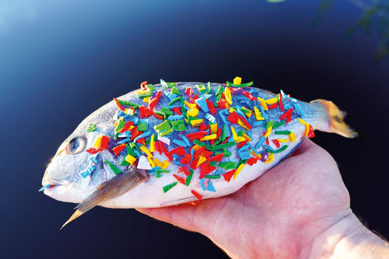 ‘Plastik’ hayatlar.... Hücrelerimize kadar girdi