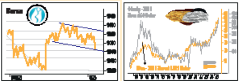 Merkez’in kararı kritik