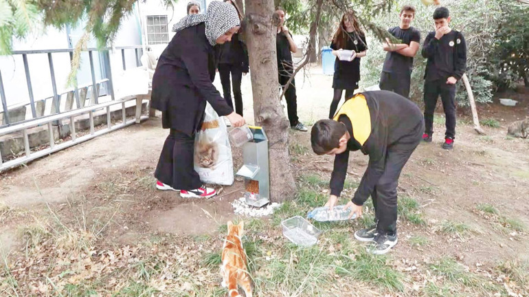 Demirören MTAL’den patili dostlara mama