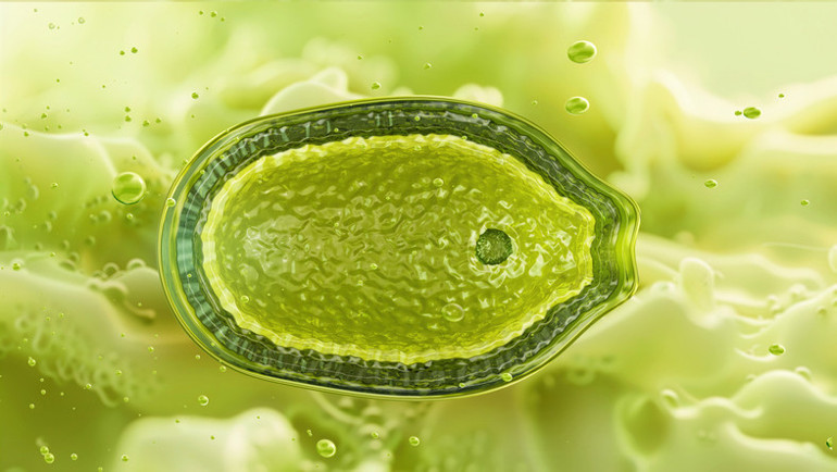 Yeraltı tünelinden çıkan sonuç korkuttu: 40 bin yıl sonra uyandılar Yeni pandemi burada mı patlak verecek