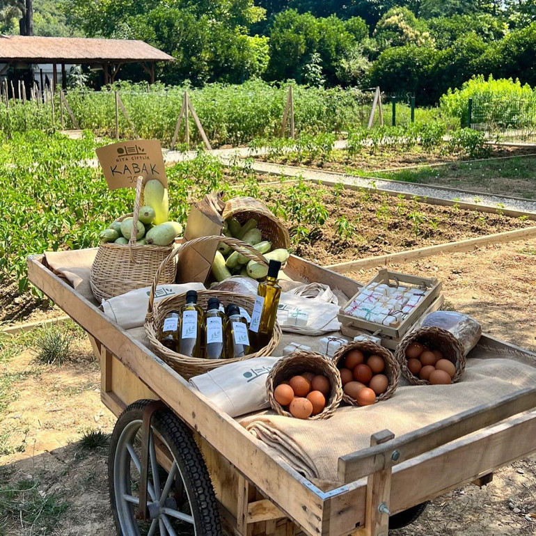 Doğa ile iç içeyim, yaklaşık 5 yıldır çiftçilik yapıyorum