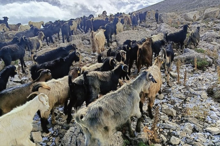 Bu görüntüler sıcağıyla meşhur ilimizden: Mevsimin ilk karı düştü
