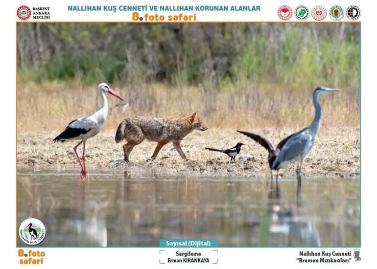 Etkileyici karelerle doğanın hikâyesi