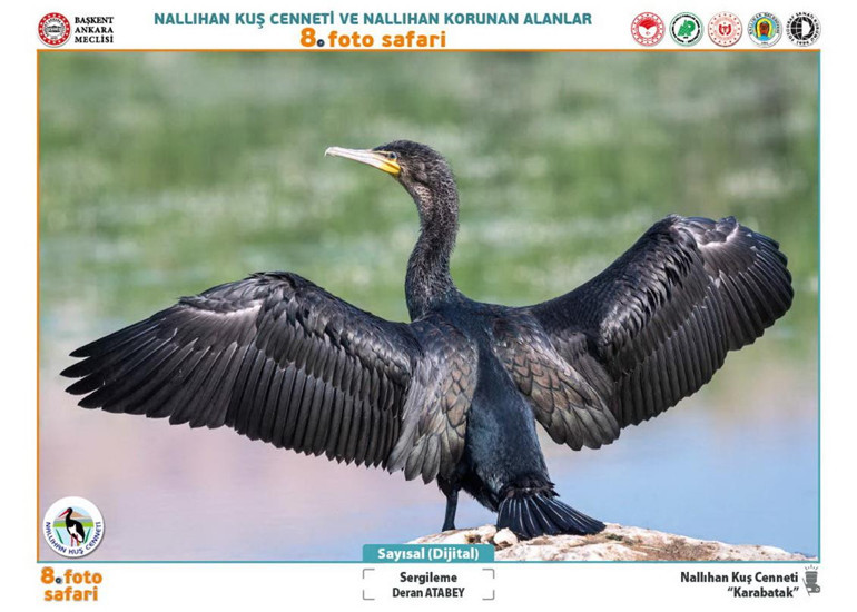 Etkileyici karelerle doğanın hikâyesi