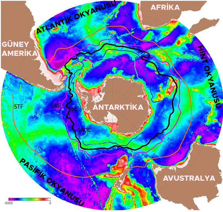 Böyle giderse sonumuz felaket olacak Okyanusta bariyer görevi görüyor: 230 milyon insan tehdit altında...