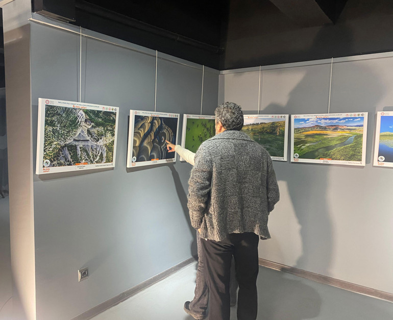 Foto safari ekol oldu