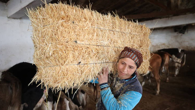 16 yıl önce eşinin köyüne geldi Devlet desteğiyle hayatı değişti: Eşimle beraber dört gözle bekliyoruz
