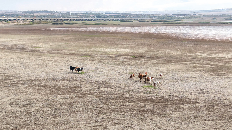 İstanbul barajlarında tehlike çanları... Doluluk oranı yüzde 25’in altına düştü