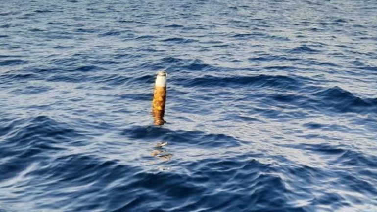 Salyangoz avcılığı yaparken gördüler Karadenizde yine ortaya çıktı | Geldiler baktılar, alıp götürdüler