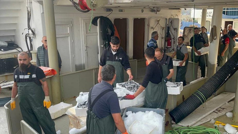 Karadeniz'de kasalanan hamsiler limana getiriliyor
