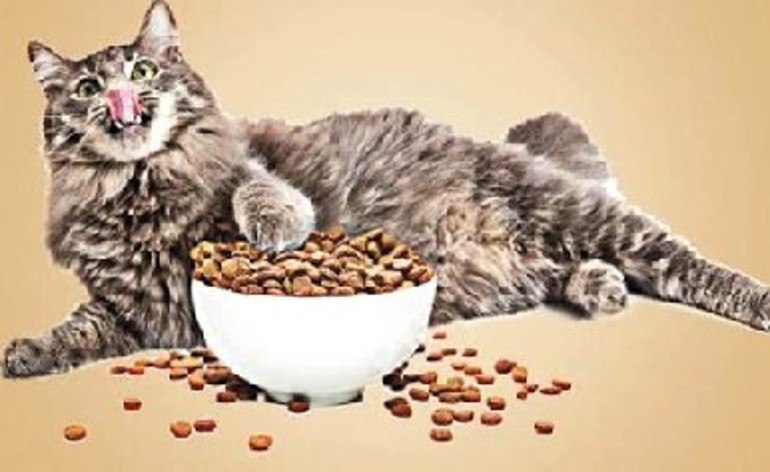 Biyografi filmlerinde Serenay kuyruğu