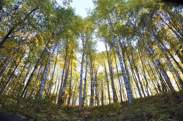 Erzincan dağlarında sonbahar renkleriyle oluşan kartpostallık manzara