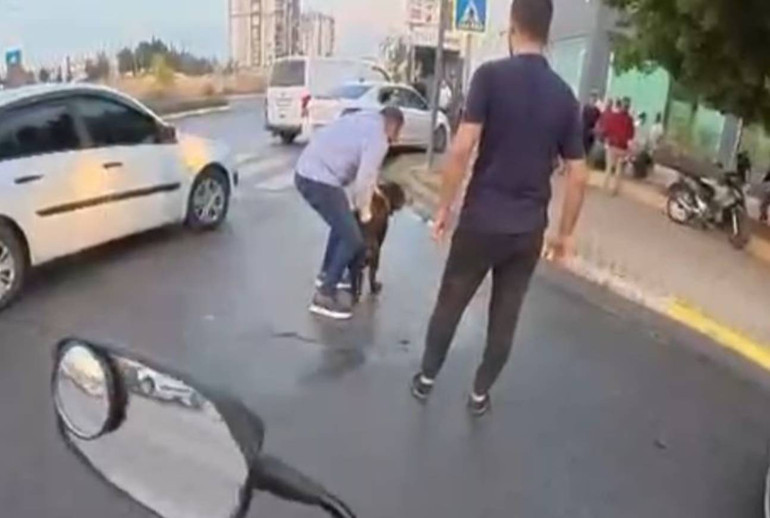 Saldırgan köpeğin sokakta insanlara saldırdığı an