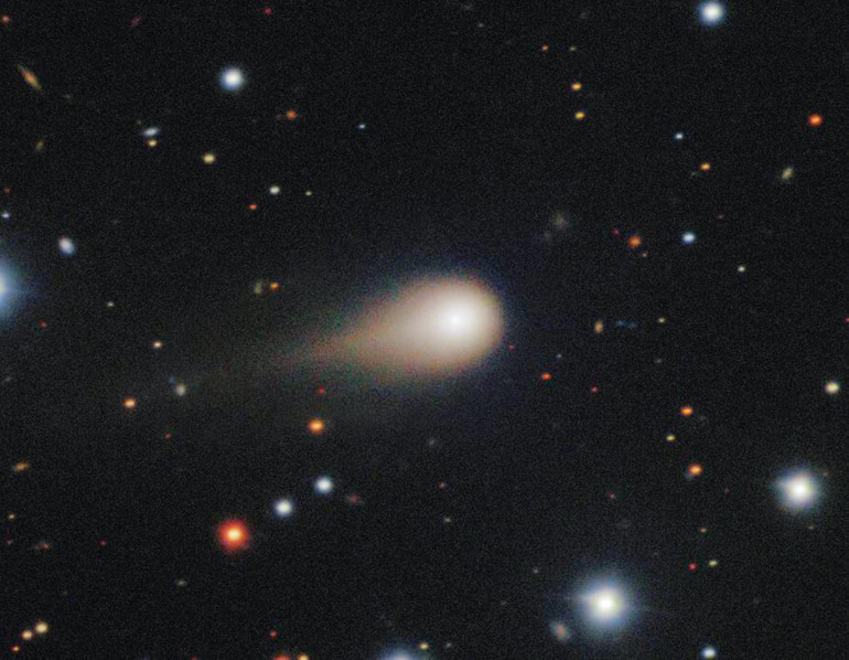 Aptallığın altın çağı