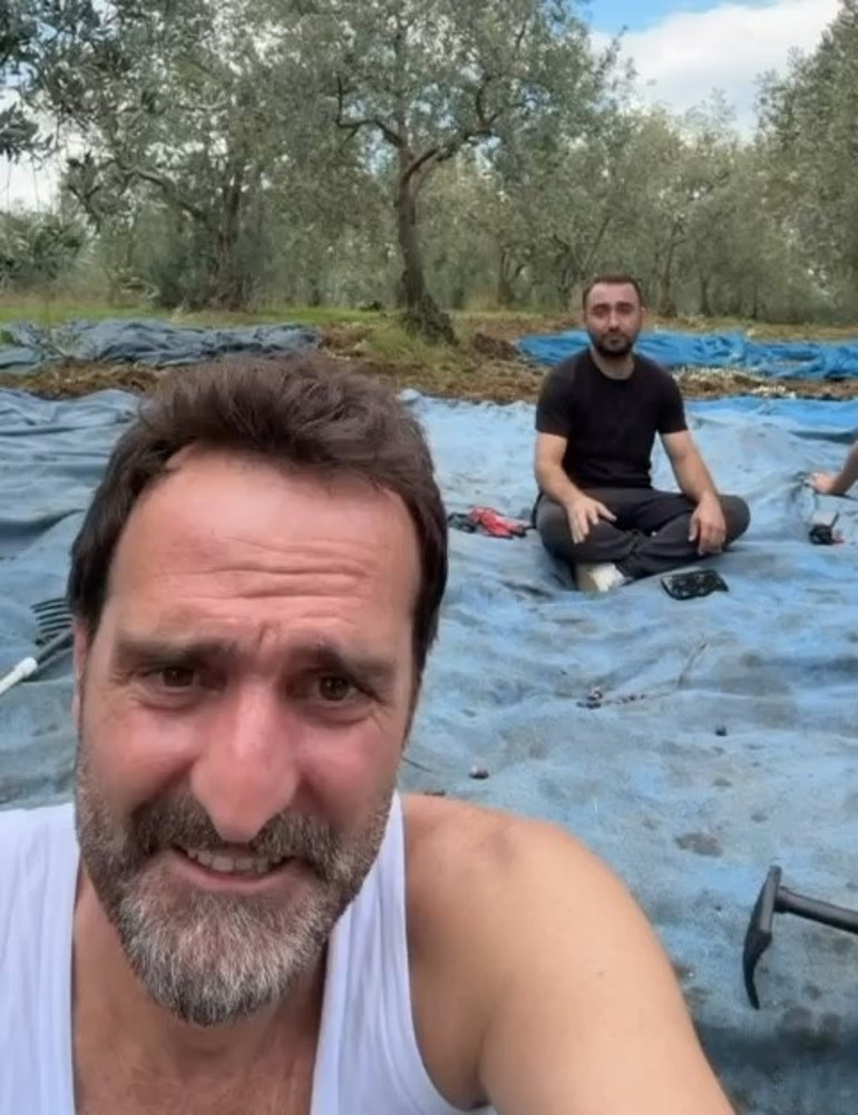 Ünlü oyuncu İznikte arsa aldı... İlk zeytin hasadını yaptı