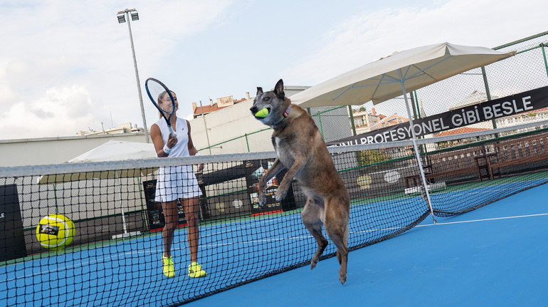 Patili Dostlarımıza “Profesyonel Gibi” Bakmak: Bilimsel Yaklaşım ve Sağlık Önceliği