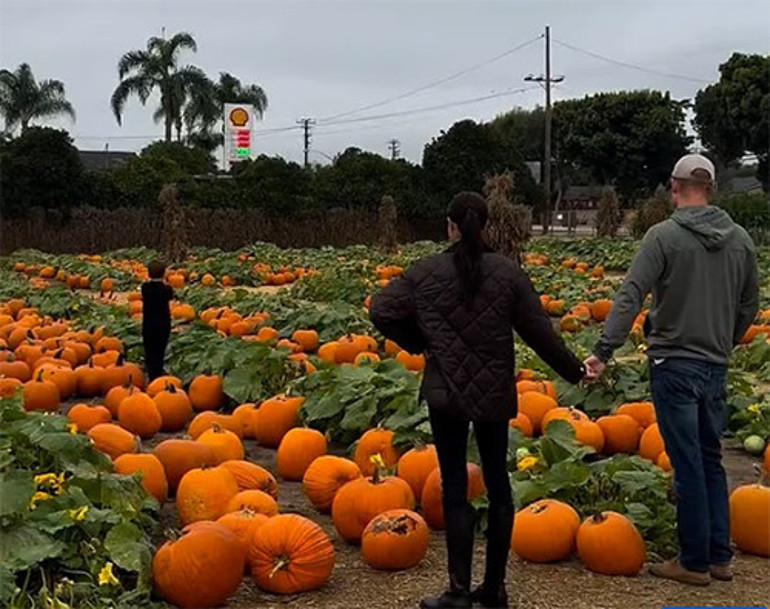 Bu çocuklar gerçekten sizin mi Kendi giyinip kuşandı, çocukların üstünde yok başında yok... Kızın saçını taramadan bu yaşa geldi