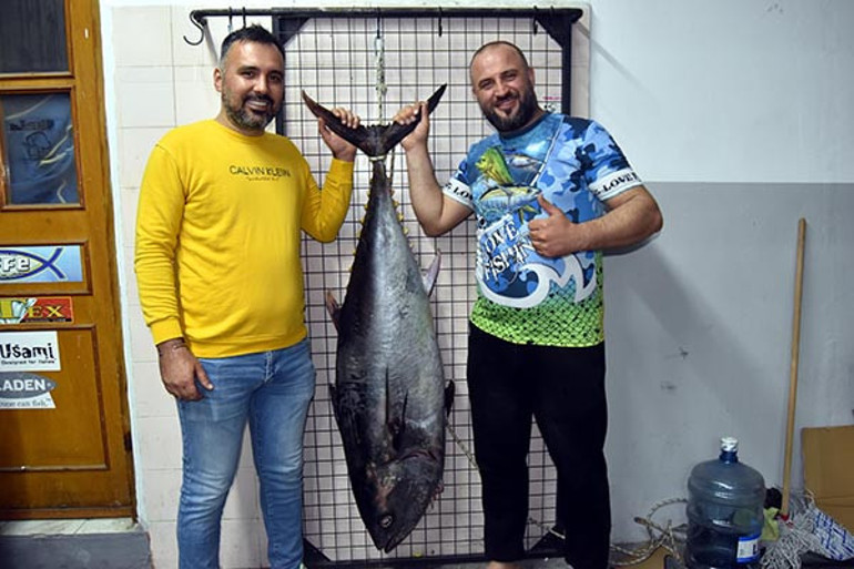 Kıyıya çekilen orkinos