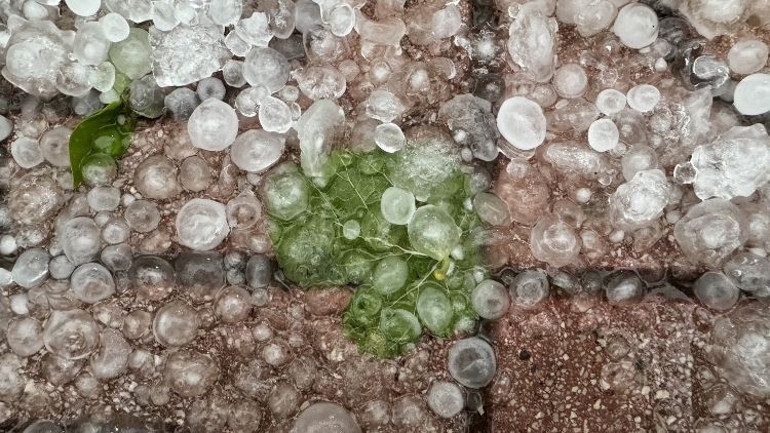 Antalya'da sağanak ve dolunun yol açtığı hasardan bir kare